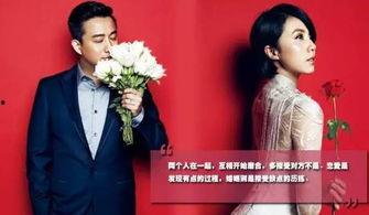 吃瓜娱乐圈模范夫妻小说,娱乐圈模范夫妻的甜蜜日常