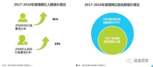 网红经济如何评价,流量变现的奇迹与挑战